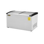 Congelador Horizontal Rhino Tapa de Cristal Curvo 10 Pies